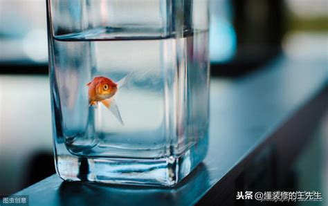 魚一直死風水|風水｜家裏養的魚死了，怎麼辦